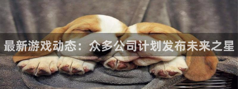 im电竞官网客服怎么样：最新游戏动态：众多公司计划发布未来之星