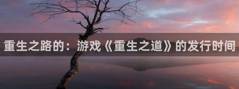 im电竞官网注册平台怎么样可靠吗：重生之路的：游戏《重生之道》的发行时间
