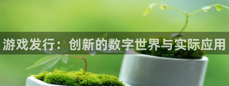 广东im电竞电商bruno：游戏发行：创新的数字世界与实际应用