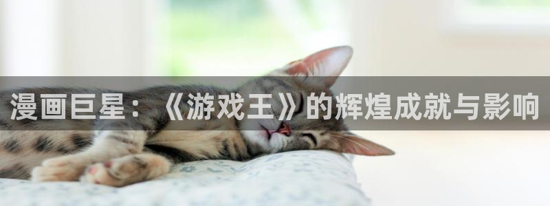 im电竞官网平台代理条件是什么：漫画巨星：《游戏王》的辉煌成就与影响