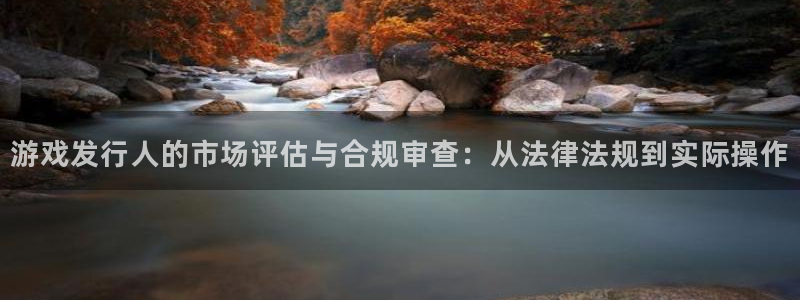 im电竞服装品牌：游戏发行人的市场评估与合规审查：从法律法规到实际操作