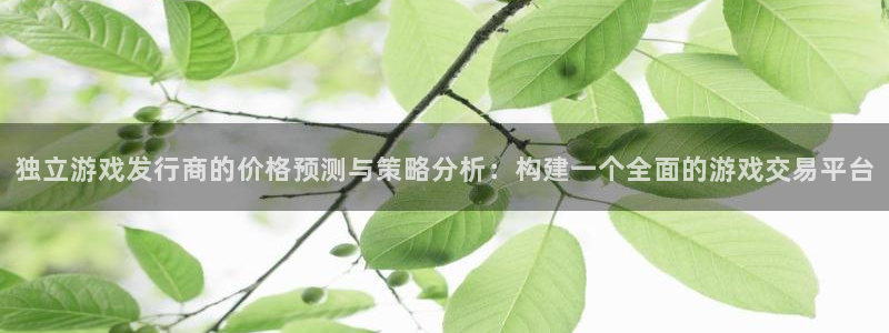 广东im电竞电子科技有限公司：独立游戏发行商的价格预测与策略分析：构建一个全面的游戏交易平台