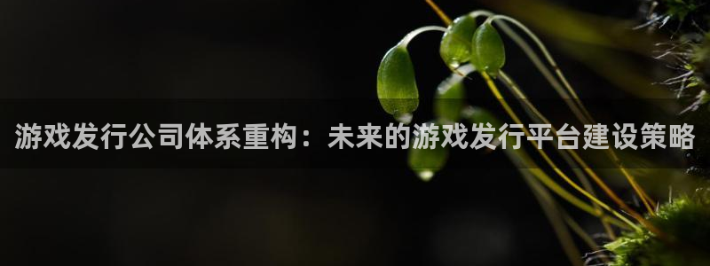 im电竞官网客服电话号码：游戏发行公司体系重构：未来的游戏发行平台建设策略