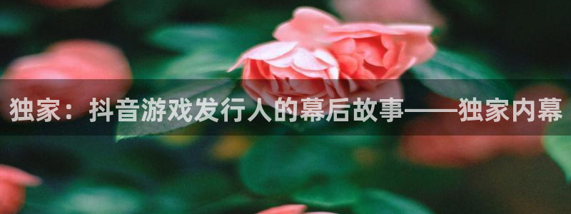 im电竞官网登录注册账号是什么意思：独家：抖音游戏发行人的幕后故事——独家内幕