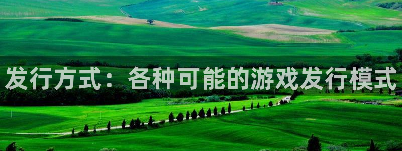 我想看im电竞