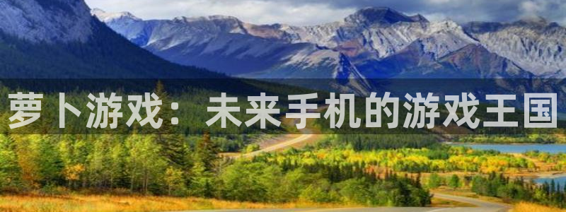 四川im电竞科技有限公司怎么样