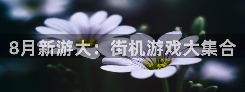 im电竞子教育科技(江门)有限公司