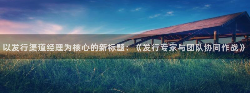 im电竞是什么品牌：以发行渠道经理为核心的新标题：《发行专家与团队协同作战》