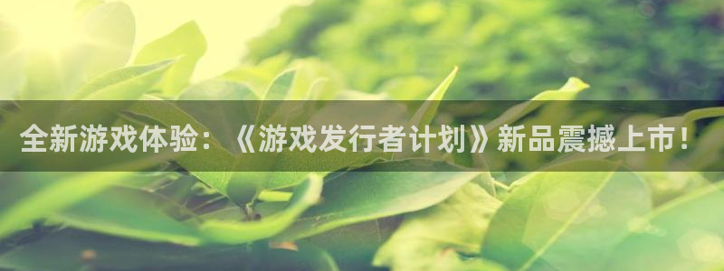 im电竞官网登录注册账号失败怎么回事：全新游戏体验：《游戏发行者计划》新品震撼上市！
