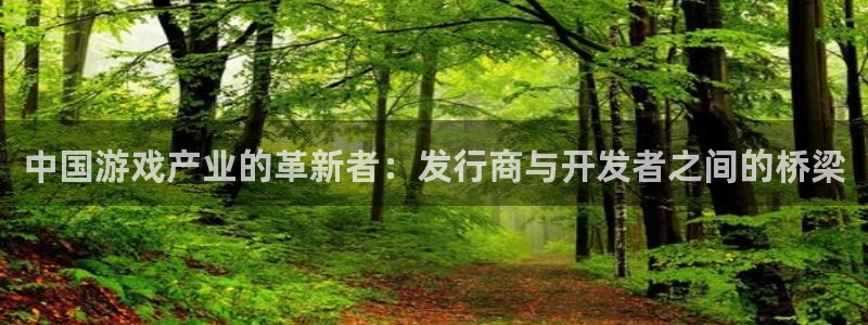 im电竞官网注册方法有哪些呢：中国游戏产业的革新者：发行商与开发者之间的桥梁