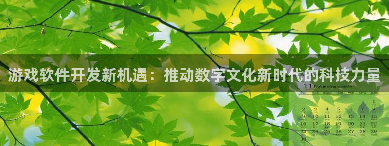 im电竞官网登录注册不了怎么回事：游戏软件开发新机遇：推动数字文化新时代的科技力量