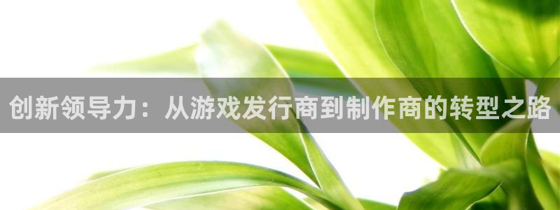 im电竞子最好看的小说：创新领导力：从游戏发行商到制作商的转型之路