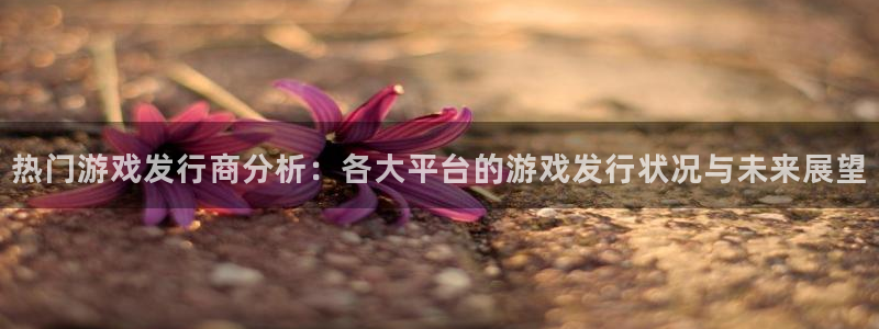 im电竞子书单：热门游戏发行商分析：各大平台的游戏发行状况与未来展望