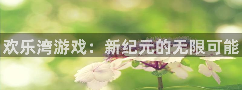 南京im电竞子电子商务有限公司：欢乐湾游戏：新纪元的无限可能