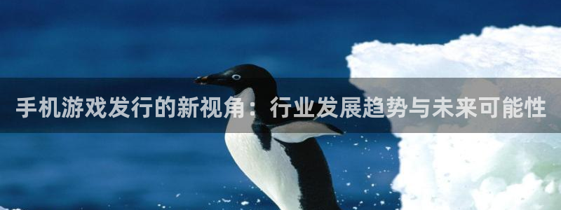 im电竞服装品牌：手机游戏发行的新视角：行业发展趋势与未来可能性