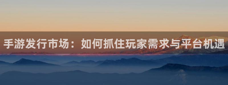 im电竞官网是境外的吗：手游发行市场：如何抓住玩家需求与平台机遇