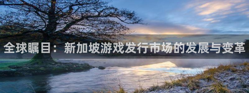 im电竞涂料怎么样