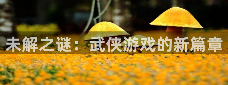 im电竞仓储中心